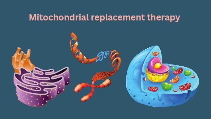 Mitochondrial replacement therapy medico lovers 